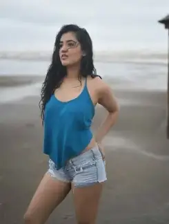 Working Girl rishikesh call girl
